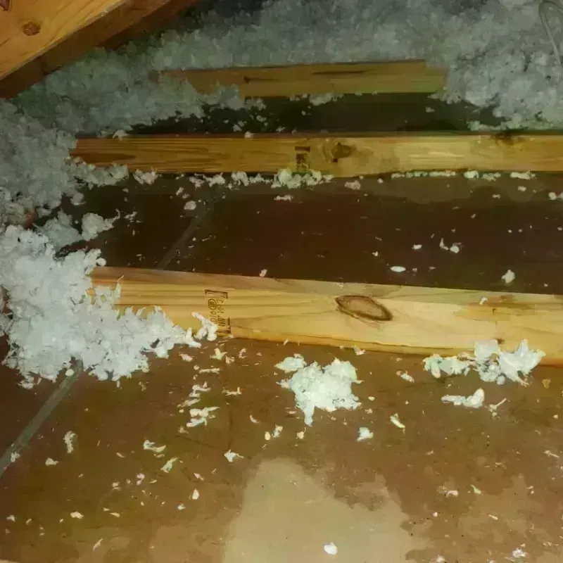 Attic Water Damage in Shavano Park, TX