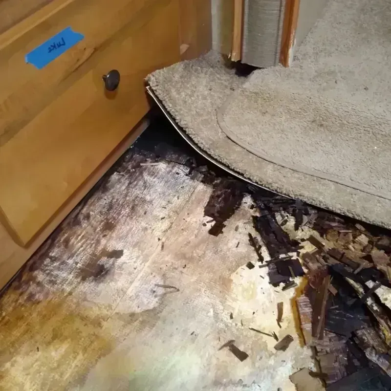 Wood Floor Water Damage in Shavano Park, TX